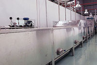Paste/Puree & Pulp Manufacturing Plant