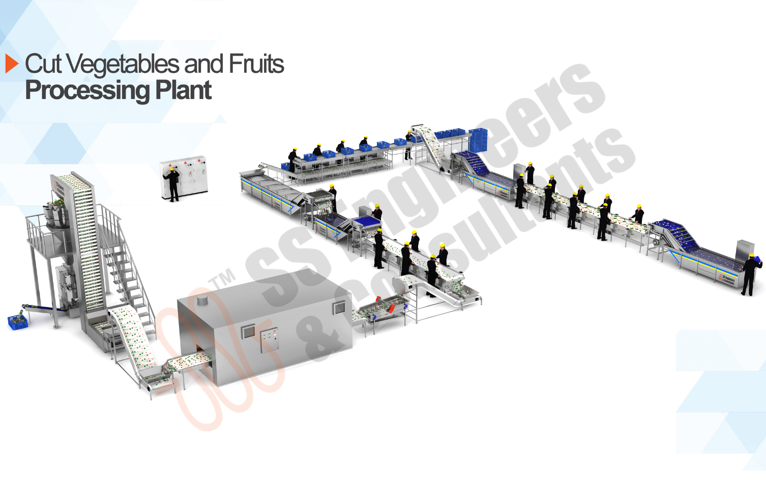 Salad & Cut Vegetable Processing Line Salad & Cut Vegetable Processing Line