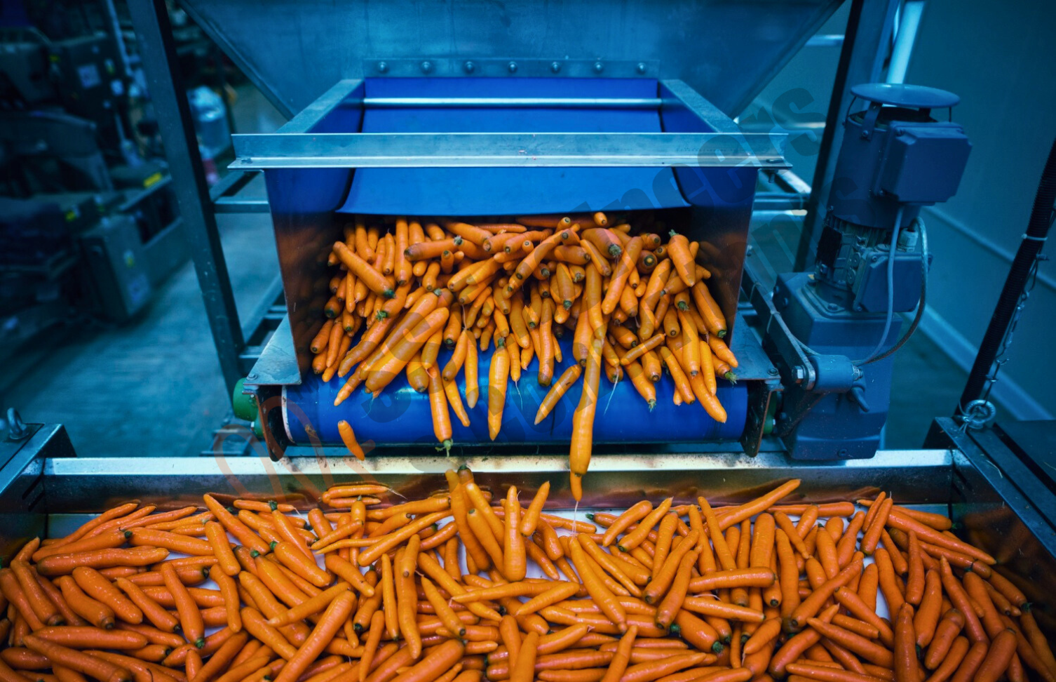 Fruits&Vegetable Pack House Fruits&Vegetable Pack House