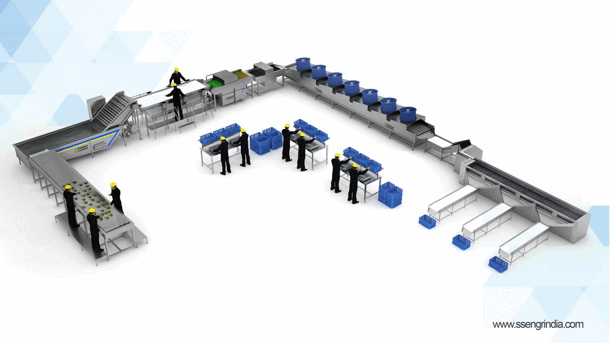 mango processing plant